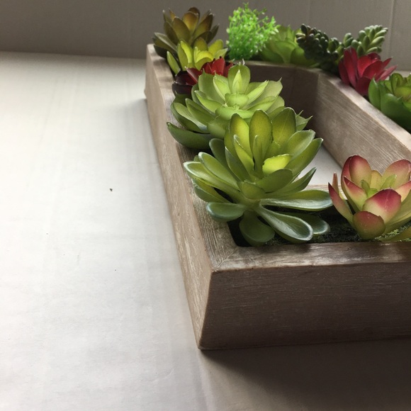 Ashland Accents Ashland Letter D With Artificial Succulents Wall